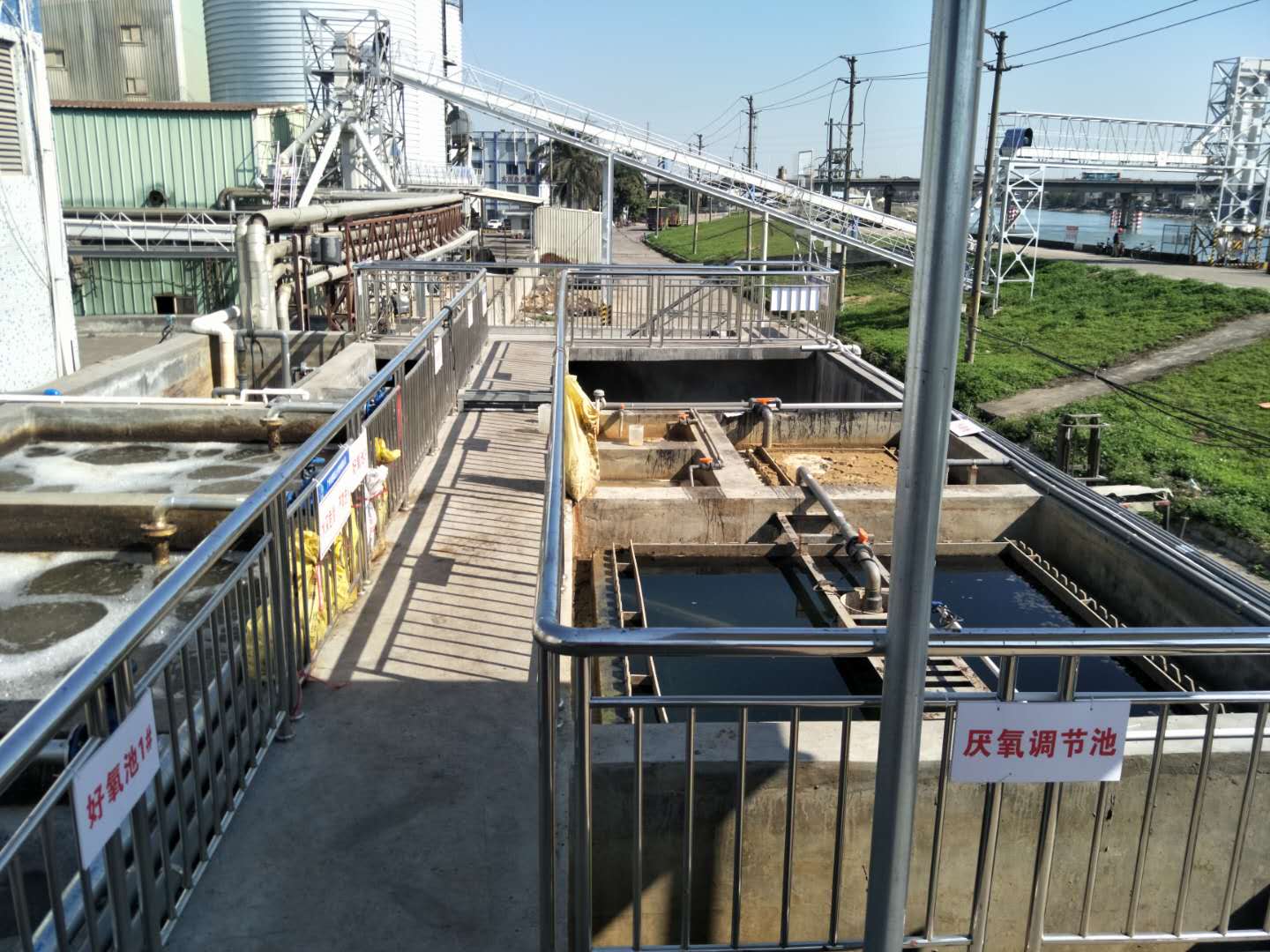 食品廢水植物處理技術(shù)，你知道嗎？